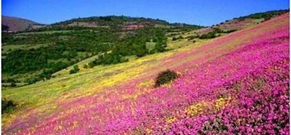 عکس دیدنی رودبار
