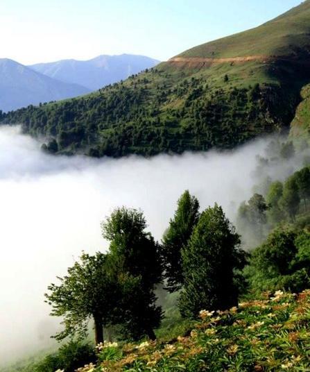 عکس دیدنی رودبار