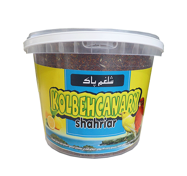 عکس دانه شلغم