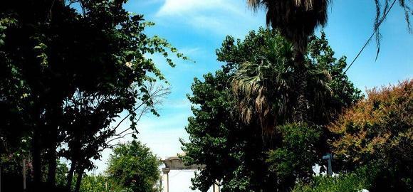 عکس طبیعت زیبای مینودشت