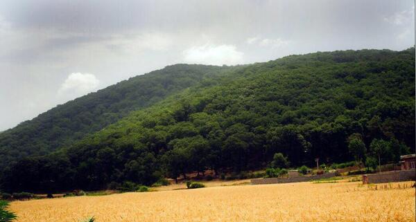عکس طبیعت زیبای مینودشت