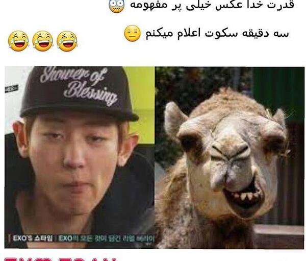 عکس فان اکسو