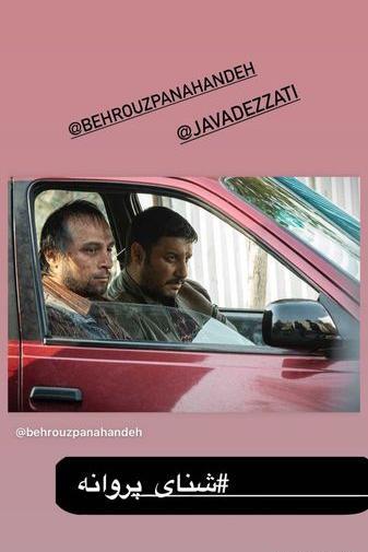 عکس جواد عزتی در شنای پروانه