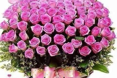 عکس گل برای اعضای گروه