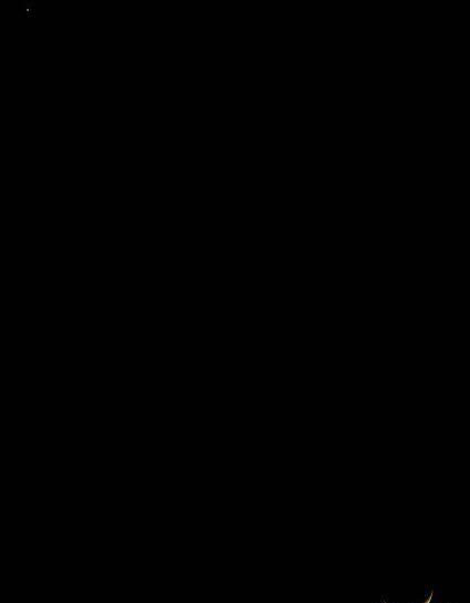 عکس سیاه