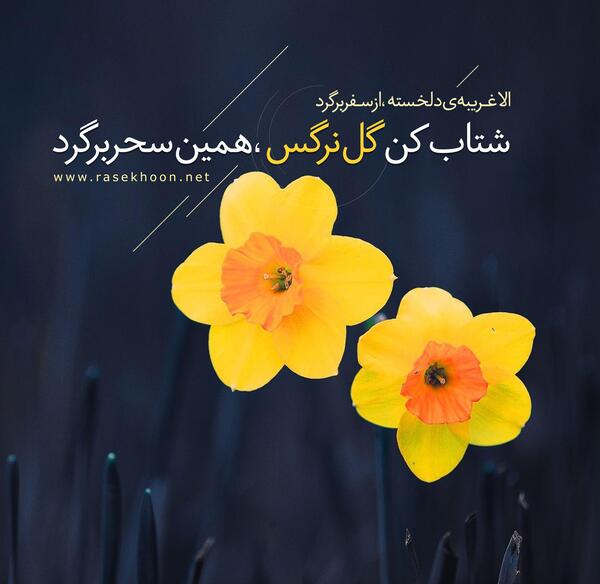 عکس امام زمان عجل الله تعالی فرجه الشریف