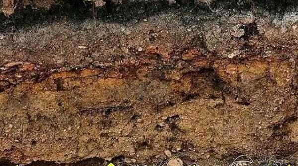 عکس خاک روی سر