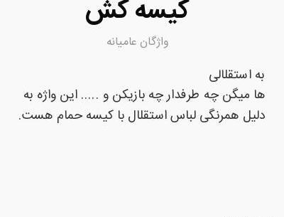 عکس تیم کیسه کش