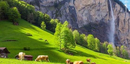 عکس جایی سرسبز