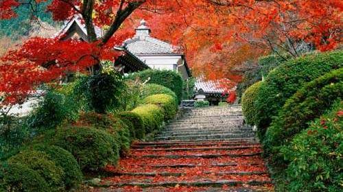 عکس طبیعت زیبای ژاپن