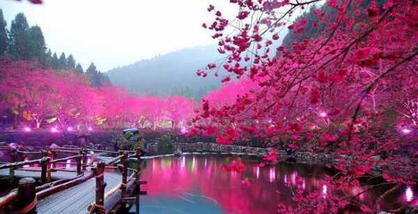 عکس طبیعت زیبای ژاپن