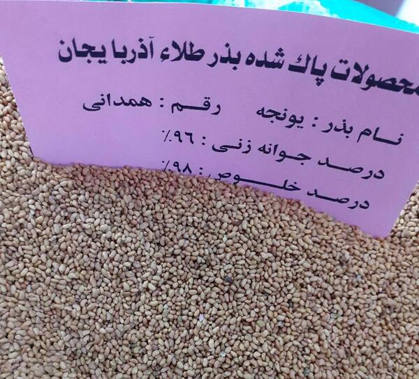عکس بذر یونجه