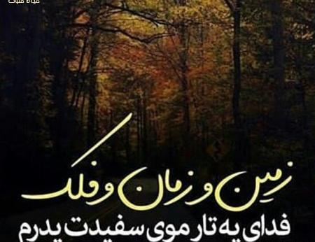 عکس نوشته خدا حفظت کنه