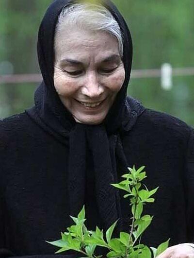 دانلود عکس های پروانه معصومی