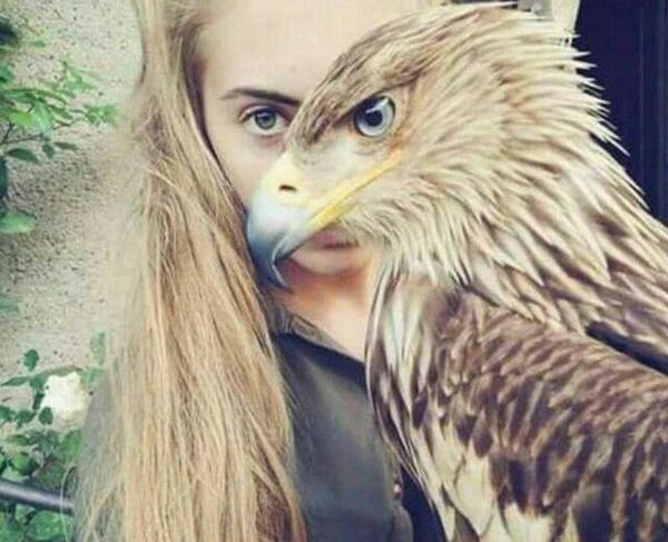 عکس عقاب لاکچری