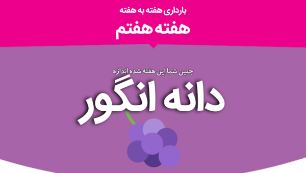 عکس قلب جنین در هفته هفتم