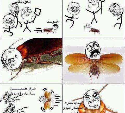 عکس نوشته طنز سوسک
