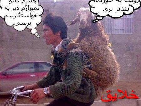 عکس نوشته طنز سوسک