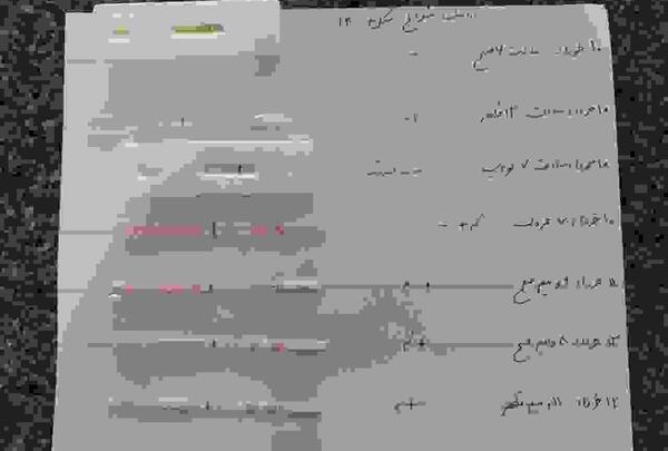عکس خونه لانه گزینی