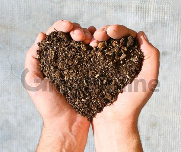 عکس خاک در دست