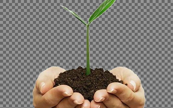 عکس خاک در دست