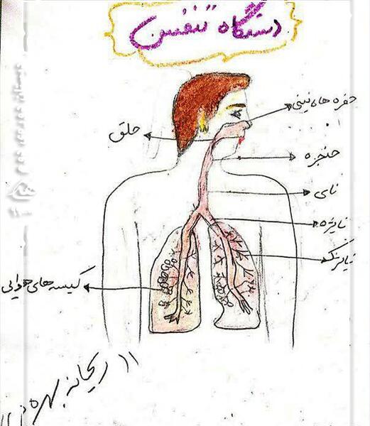 عکس ریه نقاشی