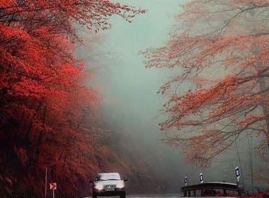 عکس دیدنی ایران