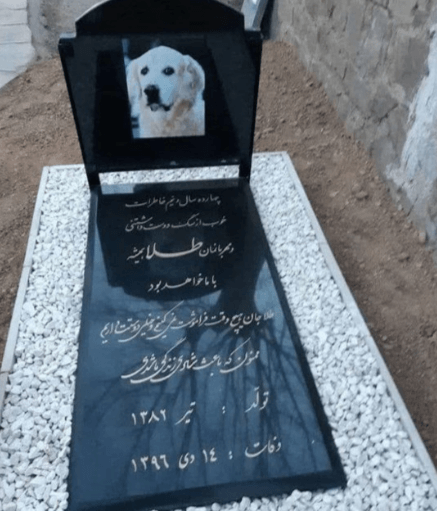 عکس قبر گربه