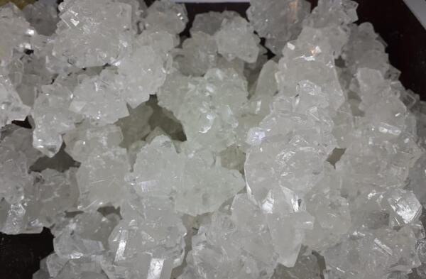 عکس نبات سفید