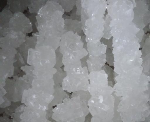 عکس نبات سفید