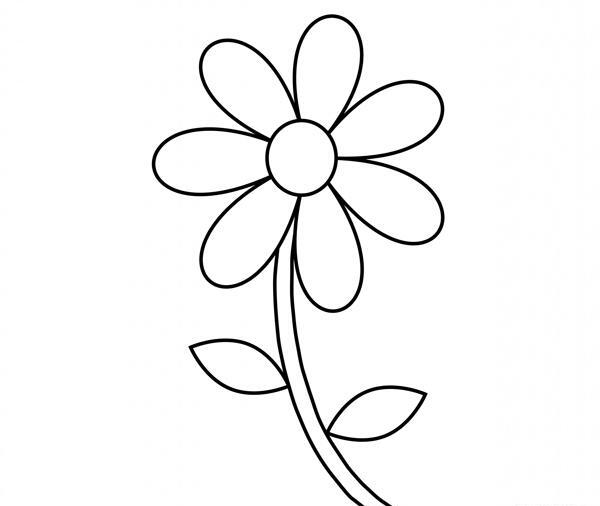 عکس نقاشی گل ساده