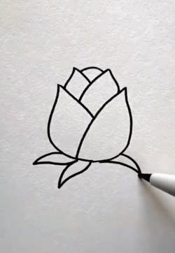 عکس نقاشی گل ساده