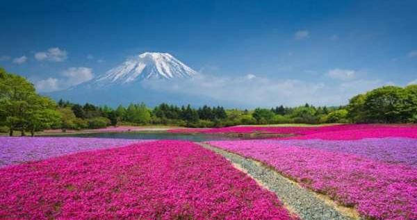عکس از جاهای دیدنی ژاپن