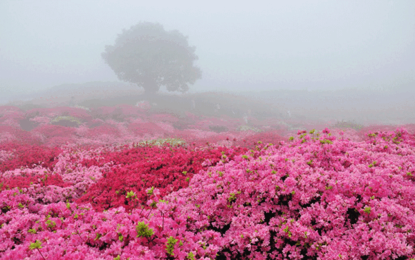 عکس طبیعت زیبای شهرکرد