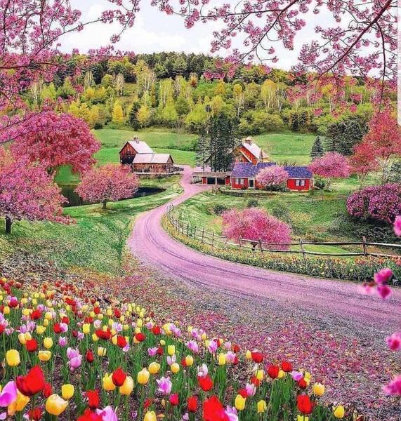 عکس طبیعت زیبای شهرکرد