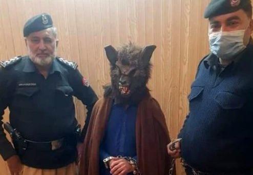 عکس گرگ پلیس