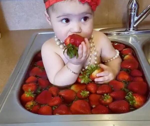 عکس ماهگرد با توت فرنگی