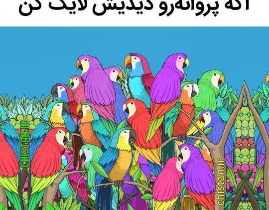 عکس پیدا کن و بگو