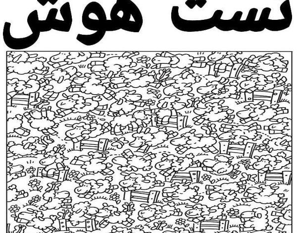عکس پیدا کن و بگو