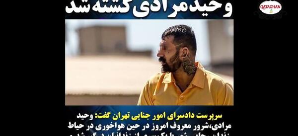 عکس های وحید مرادی گنده لات ایران