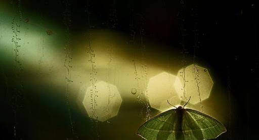 دانلود عکس نوشته ذکر روز سه شنبه