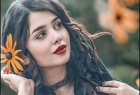 عکس گربه قشنگ و زیبا