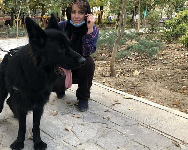 عکس سگ سیاه