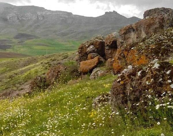 عکس روستای عامله