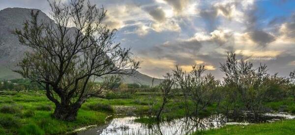 عکس روستای عامله