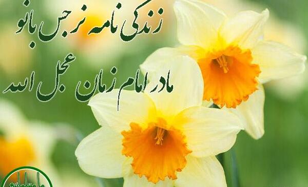عکس واقعی ملیکا مادر امام زمان