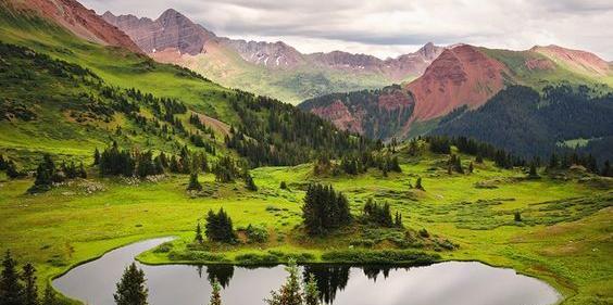 عکس فرش چهار فصل