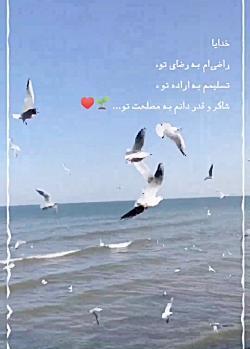 عکس نوشته خدایا راضی ام به رضای تو