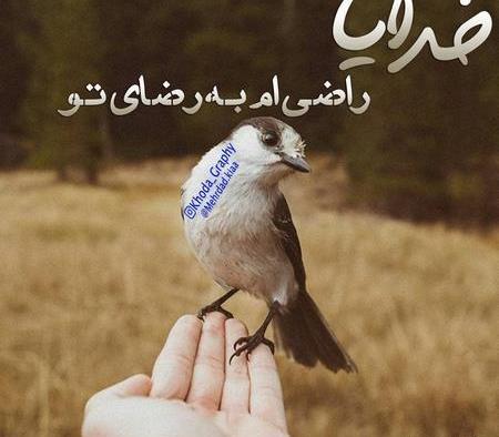 عکس نوشته خدایا راضی ام به رضای تو