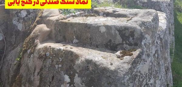 عکس سنگ باتلاق